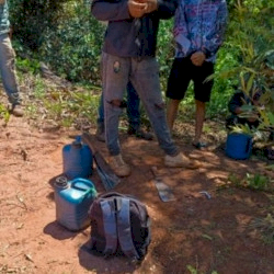 Acordo garante retorno de paraguaios identificados em condições precárias de trabalho