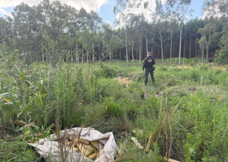 Polícia apreende 320 quilos de maconha e veículo atolado na fronteira de MS