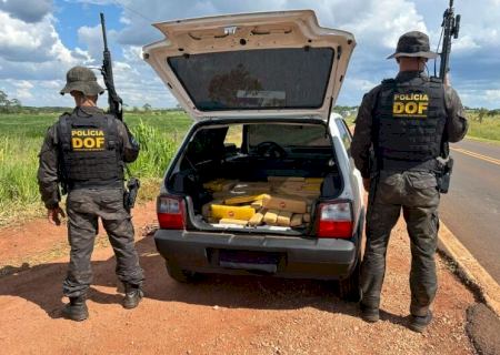 Adolescente de 16 anos é flagrado com carga de droga avaliada em R$ 655 mil