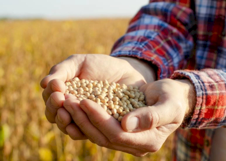 Nova lei reduz incentivos fiscais federais e pode elevar custos para produtores rurais a partir de 2026