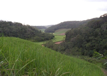 Jovem é resgatado após ser mantido em cárcere privado e agredido em área rural de MS