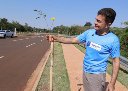 No Dia da Árvore, prefeito planta muda na Avenida dos Ipês, que também recebe espécies frutíferas