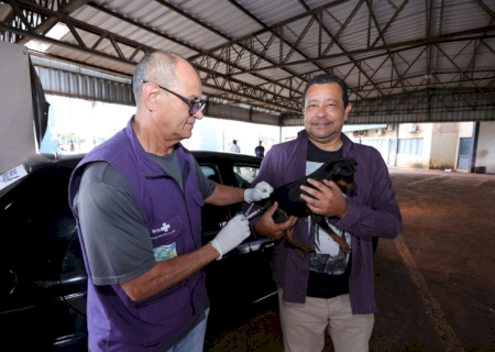 Prefeitura de Dourados leva vacinação antirrábica para cinco pontos da cidade nesta sexta-feira
