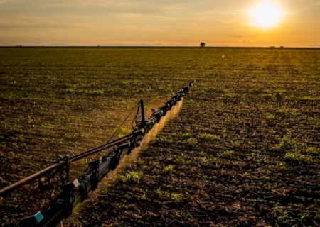 Novas regras do Seguro Rural ampliam cobertura e proteção ao produtor