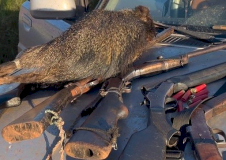 Ambiental prende 6 homens por caça e porte ilegal de arma em Sete Quedas